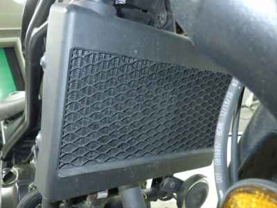 Honda Rebel CMX250 2019