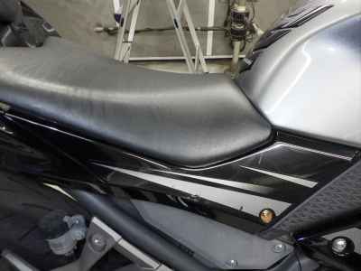 Kawasaki Ninja 250 2015