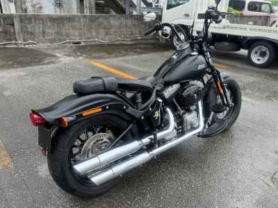Harley-Davidson Cross Bones FLSTSB1580 2011