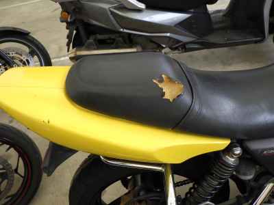 Honda CB400SFV 2009