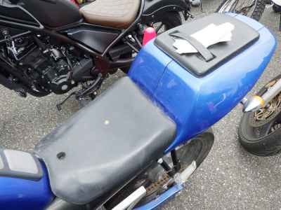 Suzuki Goose 350 1993