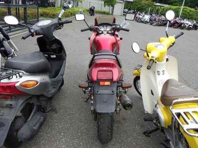 Honda VT250F Xelvis 1992