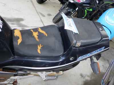 Yamaha FZR250 1987