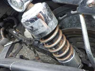 Harley-Davidson Sportster Custom XL1200C 2005