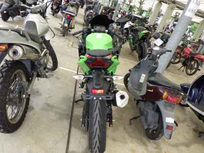 Kawasaki Ninja 250 2023
