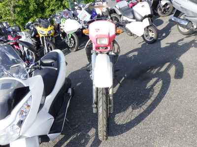Honda XL250 Degree 1991