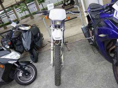 Honda XR250 1995