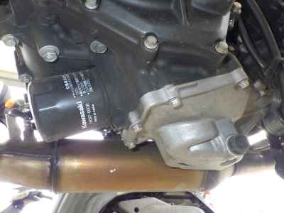 Kawasaki Z250 2021