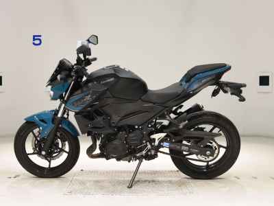 Kawasaki Z250 2021