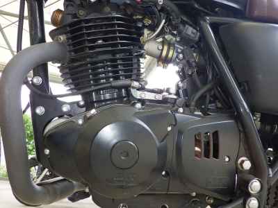 Mutt Mongrel 250 2021