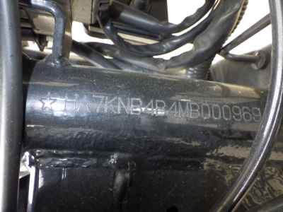 Mutt Mongrel 250 2021