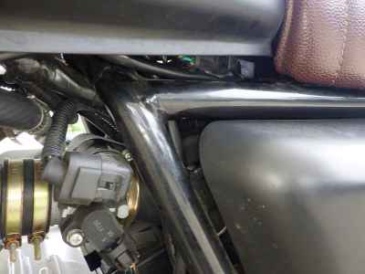 Mutt Mongrel 250 2021
