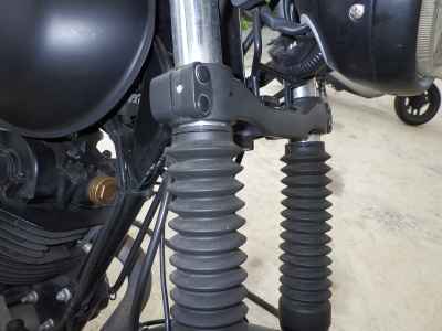 Mutt Mongrel 250 2021