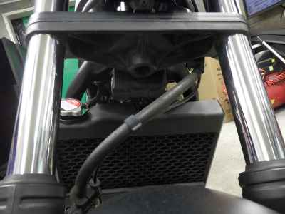 Honda Rebel CMX250 2020