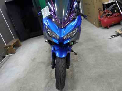 Kawasaki Ninja 250 2018