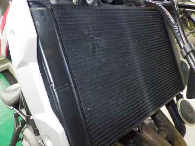 Triumph Trident 660 2024