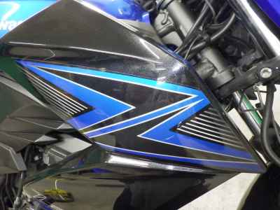 Kawasaki Z250 2015