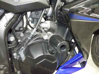 Kawasaki Z250 2015
