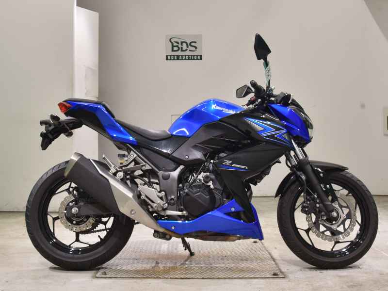 Kawasaki Z250 2015