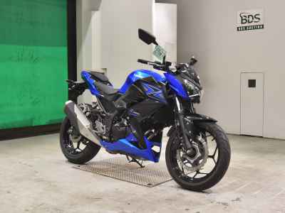 Kawasaki Z250 2015