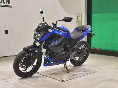 Kawasaki Z250 2015