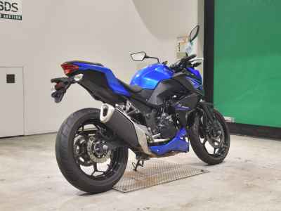 Kawasaki Z250 2015