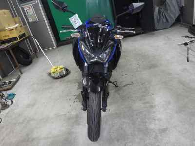 Kawasaki Z250 2015