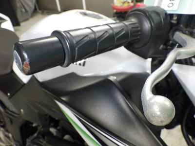 Kawasaki Z250 2014