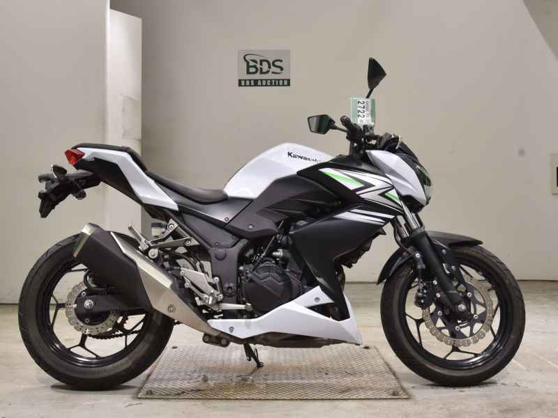 Kawasaki Z250 2014