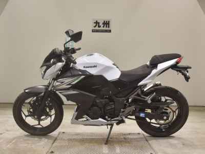 Kawasaki Z250 2014