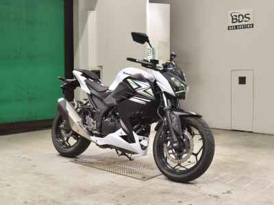 Kawasaki Z250 2014