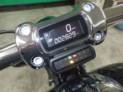 Harley-Davidson FXBR117 2024