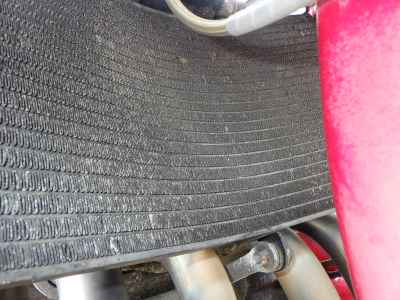 Honda CBR900RR 1996