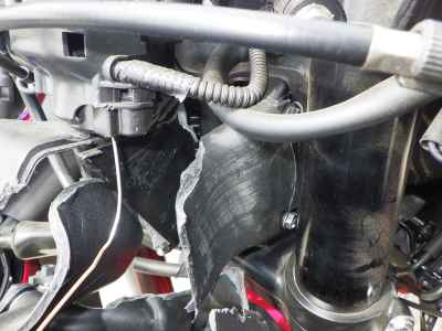Honda CBR600RR 2024