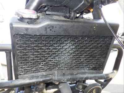 Honda Rebel CMX250 2023