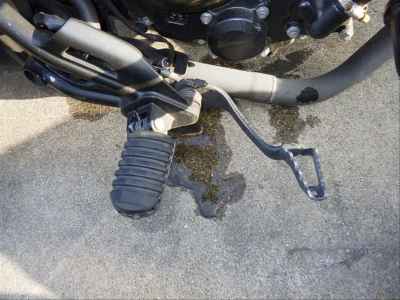 Honda Rebel CMX250 2023