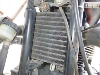 Triumph Speedmaster 2007