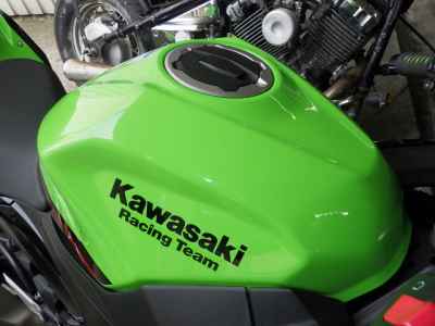Kawasaki Ninja 250 2021