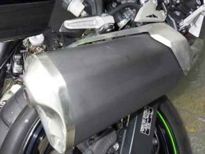 Kawasaki Ninja 250 2021