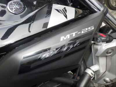 Yamaha MT-25 2016