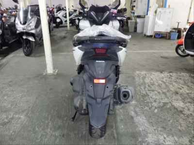 Honda Forza 2018