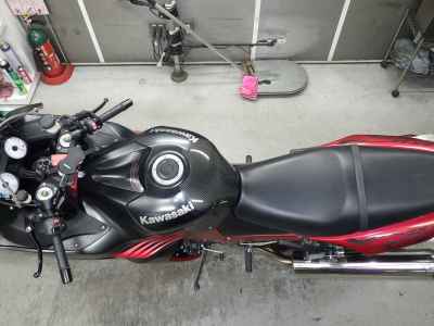 Kawasaki Ninja ZX-14R 2008