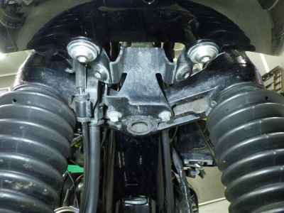 Kawasaki W800 2022