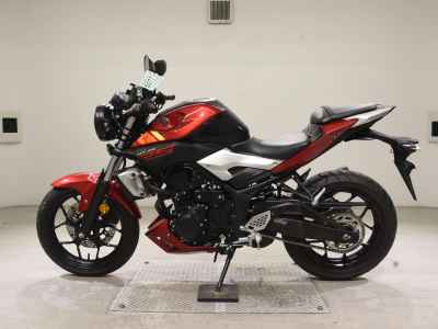 Yamaha MT-25 2016