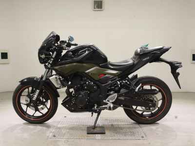 Yamaha MT-25 2016