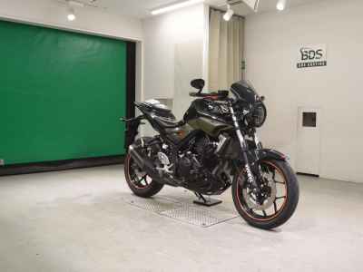 Yamaha MT-25 2016