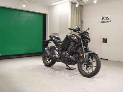 Yamaha MT-25 2021