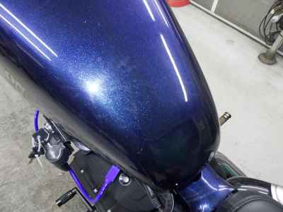 Harley-Davidson Sportster Custom XL1200C 2013