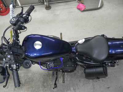 Harley-Davidson Sportster Custom XL1200C 2013