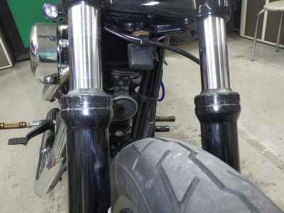 Harley-Davidson Sportster Custom XL1200C 2013